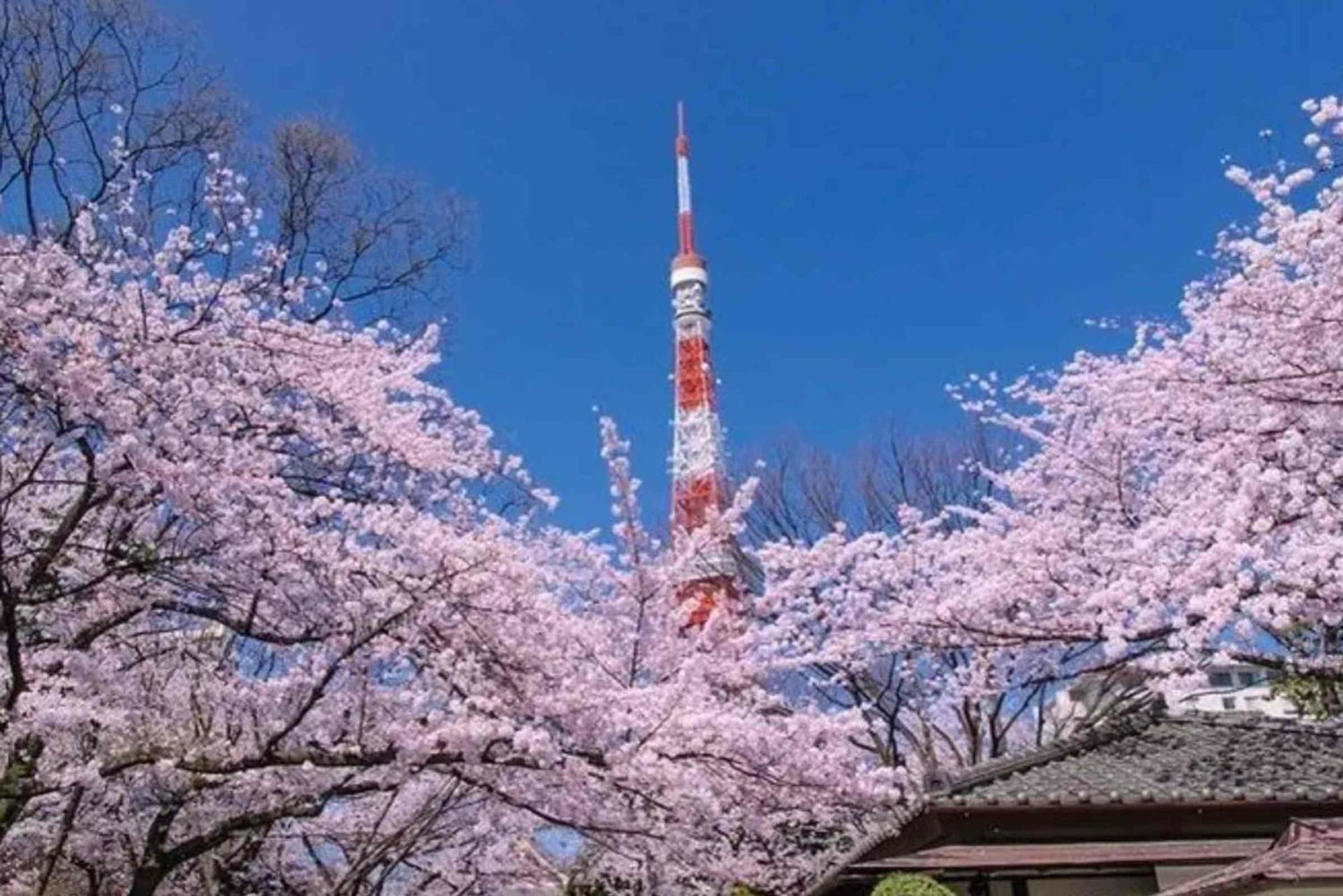 Five Room 120 Sky Tree Sensoji Freeparking 1292Sqft Tokyo Eksteriør billede